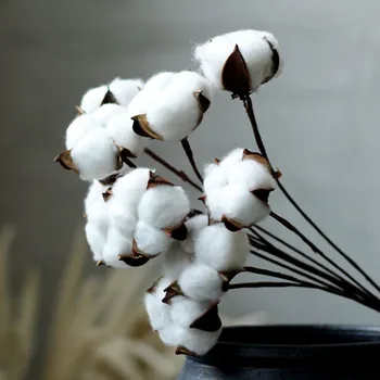 5/10tk Looduslikult Kuivatatud Cotton Flower Kunstlik Taimed Õie Filiaal Pulmapidu DIY Vanik Võltsitud Lilled Home Decor