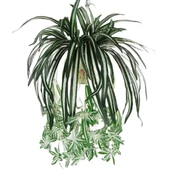 Kunstlik Chlorophytum Taim Orhidee Õie Sulg Valge Lehepoolele Bonsai Simulatsiooni Rotangist Kodus Seina Riputamise Vertikaalne Aed