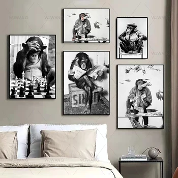 Must ja Valge Art Naljakas Ahv Lugeda Ajalehes Mängida Malet Plakat Pildid Põhjamaade Seina Art Lõuend Maali Pilt Home Decor